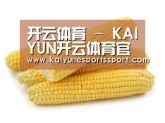 产品名称五