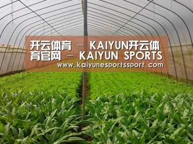 种植基地四