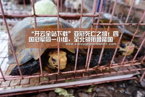 开云电竞官网