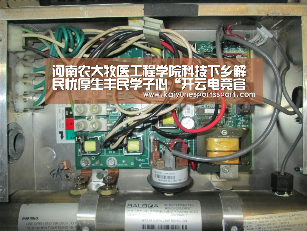 开云全站下载