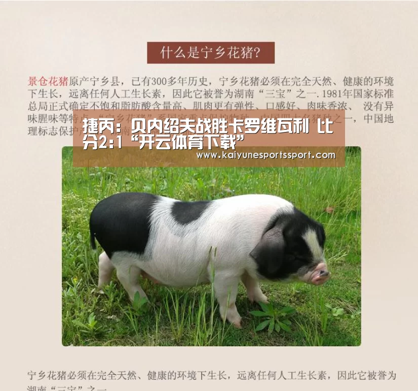 捷丙: 贝内绍夫战胜卡罗维瓦利 比分2:1“开云体育下载”(图2) 开云体育下载
