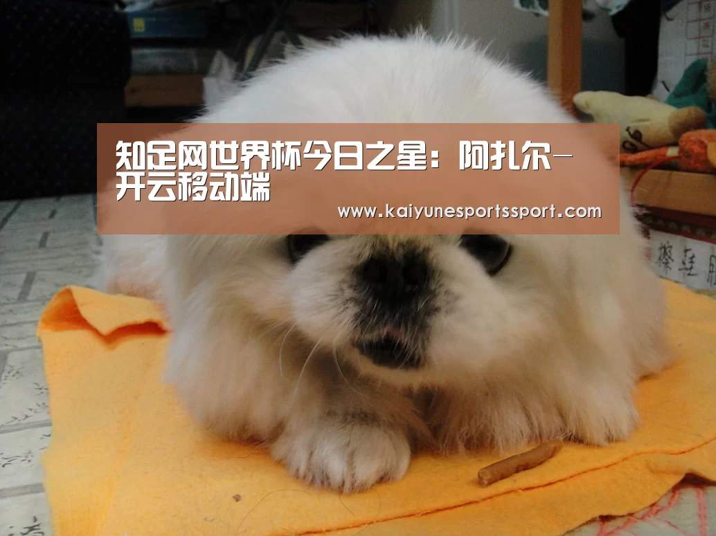 知足网世界杯今日之星:阿扎尔-开云移动端(图2) 开云体育下载