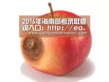 2016年海南高考录取查询入口:http://ea.hainan.gov.cn/【开云体育下载】(图1) 开云体育下载